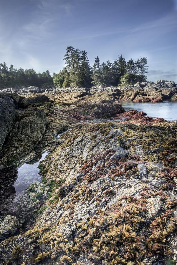Wild Pacific Guest Suites Ucluelet Exteriör bild